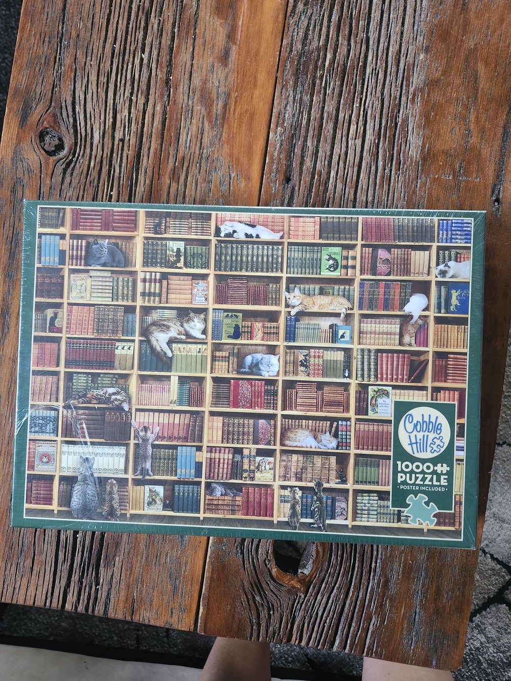 Cobb Hill by New Balance Cats on Bookshelf Puzzle - New In Box